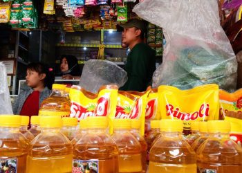 Jaga Pasokan Domestik, Pemerintah Larang  Ekspor Minyak Sawit